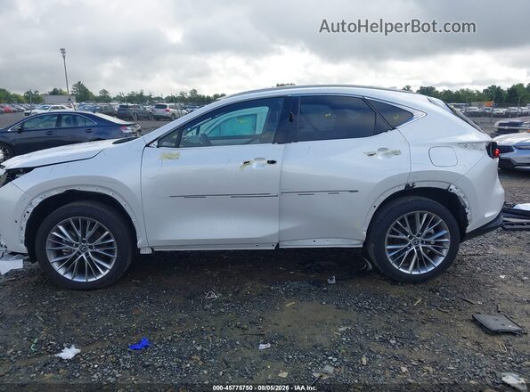 2T2HGCEZ4SC061332 2025 LEXUS NX 350 White 