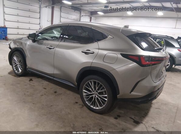 2T2HGCEZ5RC051130 2024 LEXUS NX 350 Gray Задня ліва чверть