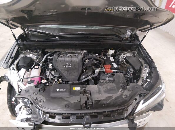 2T2HGCEZ5RC051130 2024 LEXUS NX 350 Gray Вид ззаду