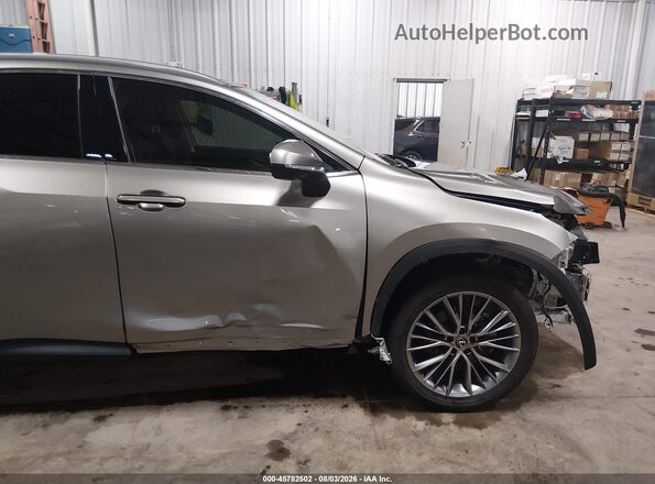 2T2HGCEZ5RC051130 2024 LEXUS NX 350 Gray 