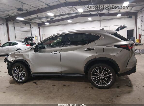 2T2HGCEZ5RC051130 2024 LEXUS NX 350 Gray 