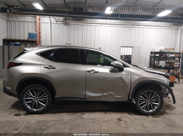 2T2HGCEZ5RC051130 2024 LEXUS NX 350 Gray Панорамний вид салону 360°