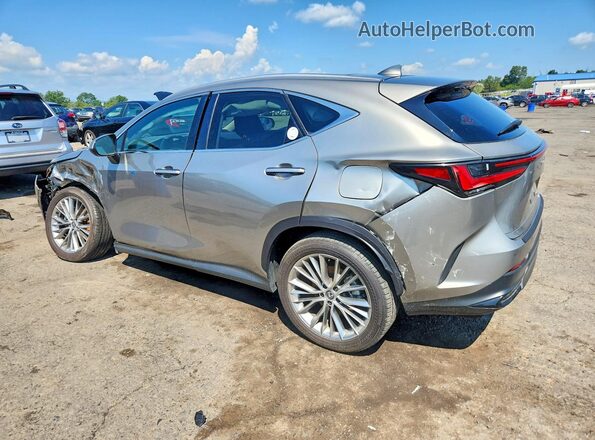 2T2HGCEZXSC061092 2025 LEXUS NX Серебряный Задняя левая четверть