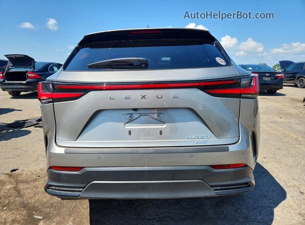 2T2HGCEZXSC061092 2025 LEXUS NX Серебряный Вид сзади