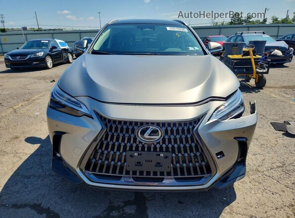 2T2HGCEZXSC061092 2025 LEXUS NX Серебряный Вид спереди