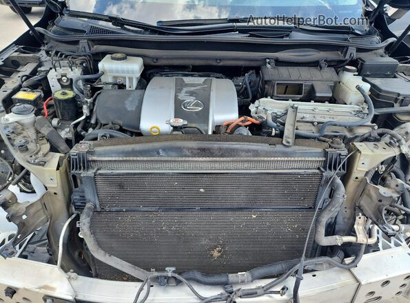 2T2HGMDA4LC044114 2020 LEXUS RX Black Rear interior view
