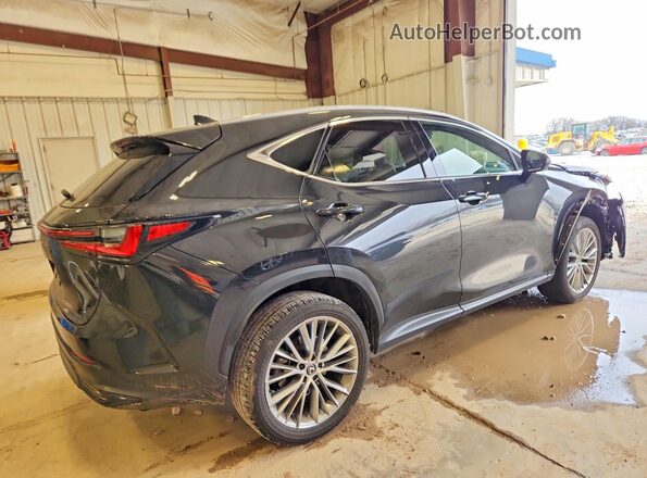 2T2HKCEZ5RC026159 2024 LEXUS NX Black Tył prawy