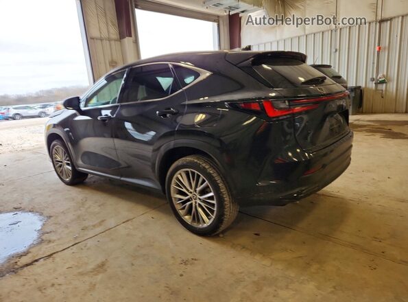 2T2HKCEZ5RC026159 2024 LEXUS NX Black Tył lewy