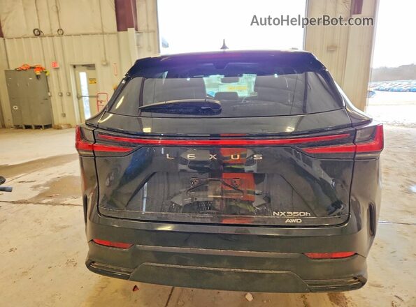 2T2HKCEZ5RC026159 2024 LEXUS NX Black Widok z tyłu
