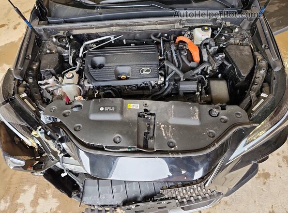 2T2HKCEZ5RC026159 2024 LEXUS NX Black Widok wnętrza z tyłu