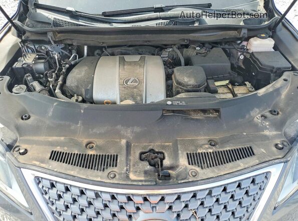 2T2HZMAA8LC152881 2020 LEXUS RX Gray Սալոնի հետևի տեսք