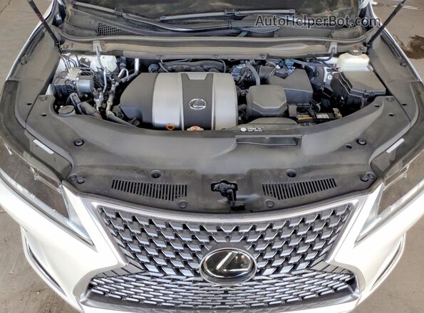 2T2HZMAAXMC189514 2021 LEXUS RX White Սալոնի հետևի տեսք