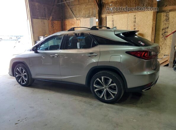 2T2HZMDA0LC230730 2020 LEXUS RX Silver Հետևի ձախ