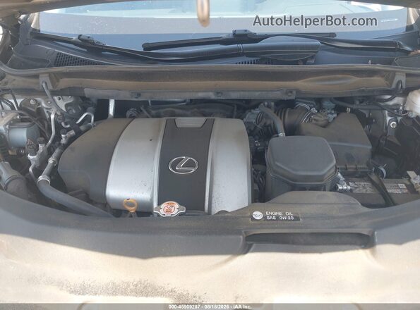 2T2HZMDA8LC253396 2020 LEXUS RX 350 Серый Вид сзади