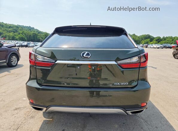 2T2HZMDA9LC230578 2020 LEXUS RX Зеленый Вид сзади