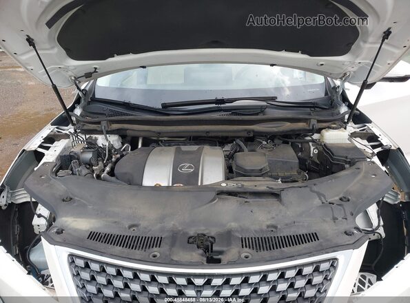 2T2JZMDA4LC238248 2020 LEXUS RX 350 Белый Вид сзади