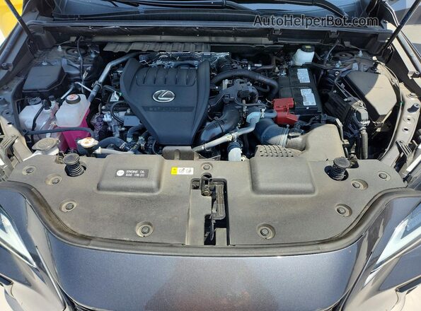 2T2KGCEZ0RC058203 2024 LEXUS NX Серый Вид задней части салона