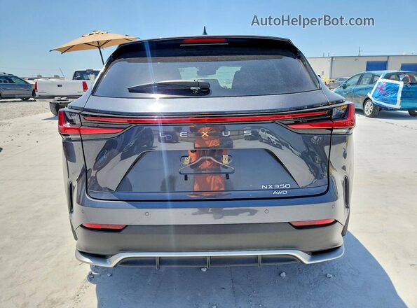 2T2KGCEZ0RC058203 2024 LEXUS NX Серый Вид сзади