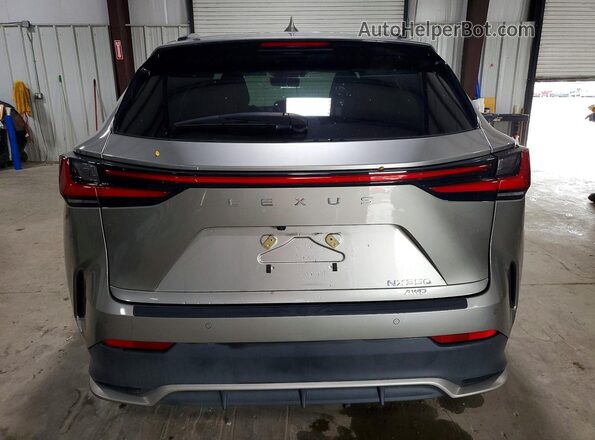 2T2KGCEZ7SC089292 2025 LEXUS NX Gray Widok z tyłu