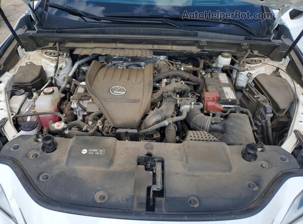 2T2KGCEZ8PC018075 2023 LEXUS NX White Սալոնի հետևի տեսք