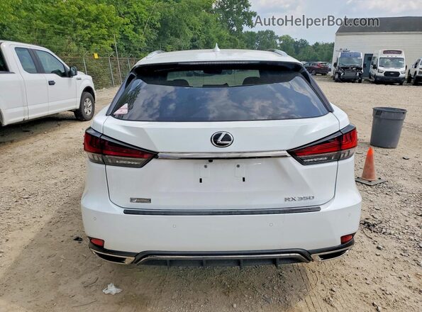 2T2YZMDA3NC320036 2022 LEXUS RX White Հետևի տեսք