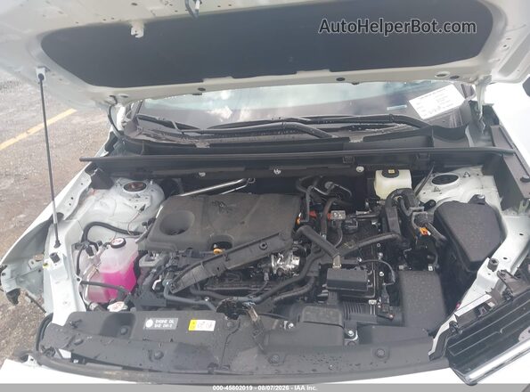 2T36CRAV0TC026857 2026 TOYOTA RAV4 White Հետևի տեսք