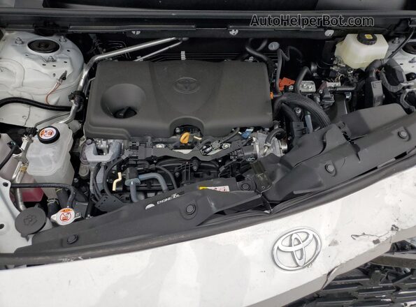 2T36CRAV9TC003934 2026 TOYOTA RAV4 White 