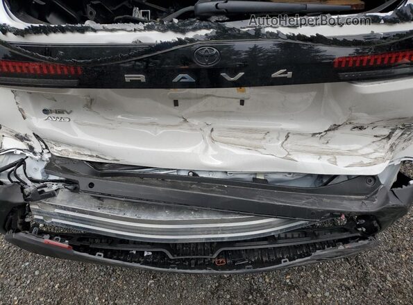 2T36CRAV9TC003934 2026 TOYOTA RAV4 White 