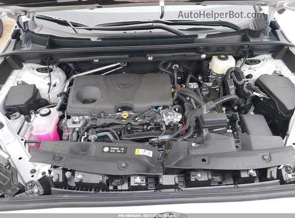 2T36CRAV9TW055689 2026 TOYOTA RAV4 White Հետևի տեսք