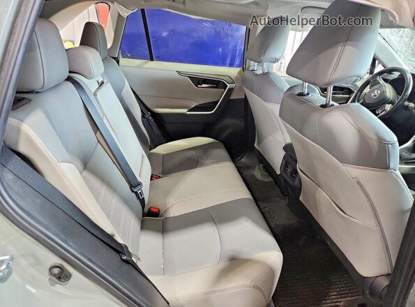 2T3A1RFV1KW047352 2019 TOYOTA RAV4 Серый Вид задней части салона
