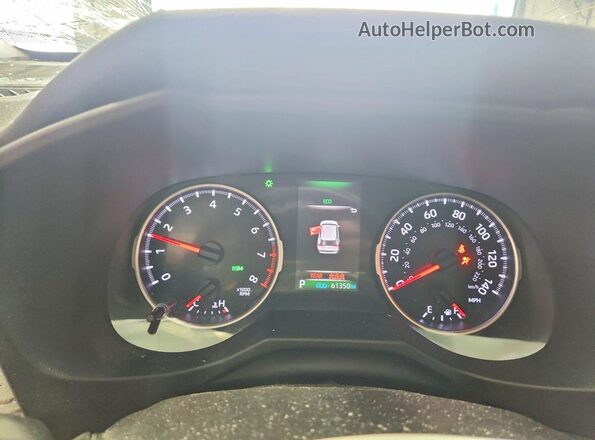 2T3A1RFV1KW047352 2019 TOYOTA RAV4 Серый Вид щитка приборов