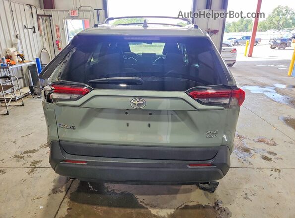 2T3A1RFV1KW047352 2019 TOYOTA RAV4 Серый Вид сзади