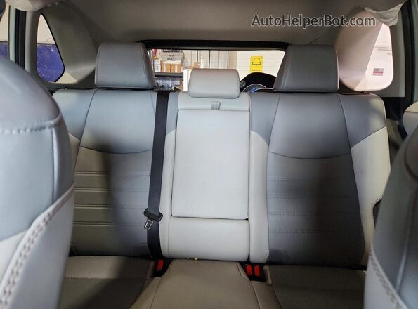 2T3A1RFV1KW047352 2019 TOYOTA RAV4 Серый Вид задних сидений