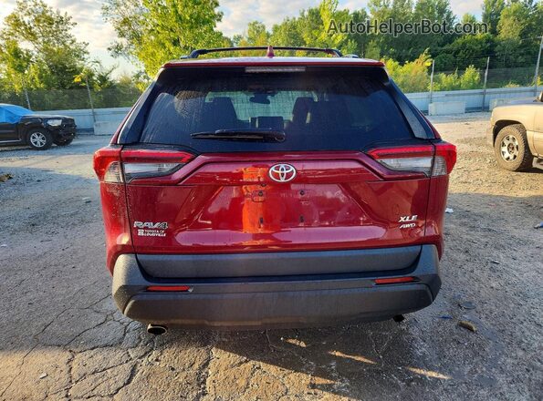 2T3A1RFV4KW076263 2019 TOYOTA RAV4 Red Вид ззаду