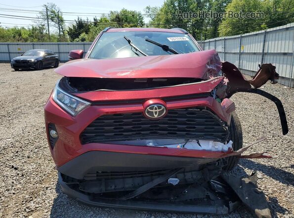 2T3A1RFV4MC143867 2021 TOYOTA RAV4 Burgundy Vista frontal