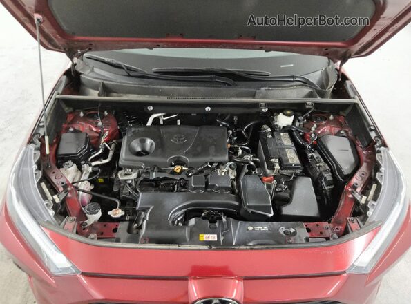 2T3A1RFV7NW293388 2022 TOYOTA RAV4 Burgundy 