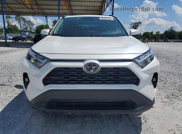2T3A1RFV8PW357604 2023 TOYOTA RAV4 Белый Вид спереди