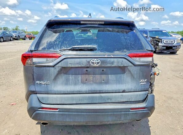2T3A1RFV9KW073391 2019 TOYOTA RAV4 Серый Вид сзади