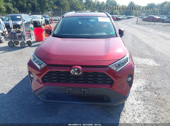 2T3A1RFV9MW247415 2021 TOYOTA RAV4 Burgundy უკანა სალონის ხედი
