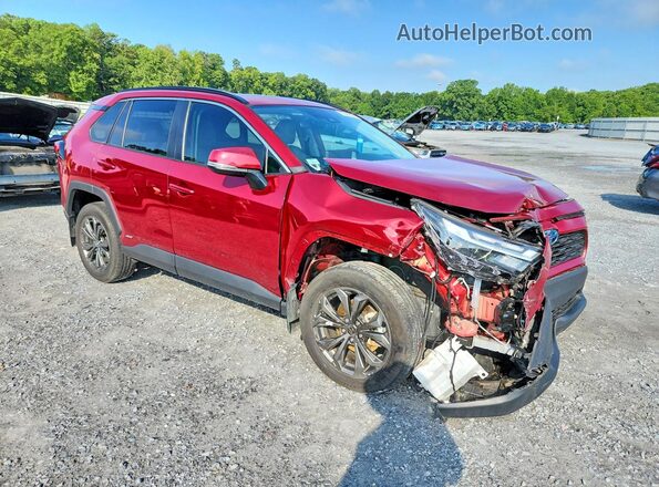 2T3B6RFV2RW074236 2024 TOYOTA RAV4 Красный Передняя правая четверть