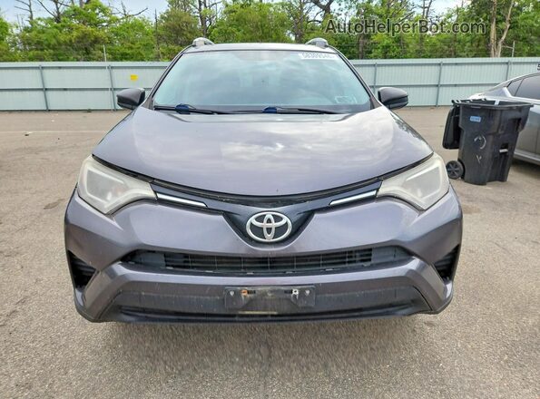 2T3BFREV0GW537084 2016 TOYOTA RAV4 Серый Вид спереди