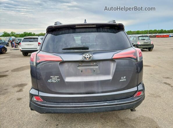 2T3BFREV0GW537084 2016 TOYOTA RAV4 Серый Вид сзади