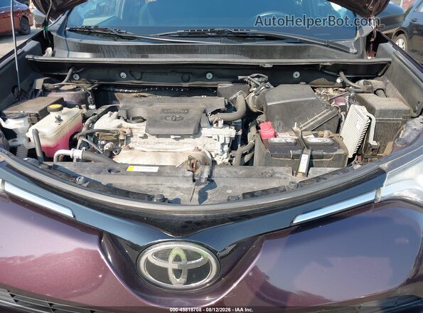 2T3BFREV0HW620256 2017 TOYOTA RAV4 Purple უკანა ხედი