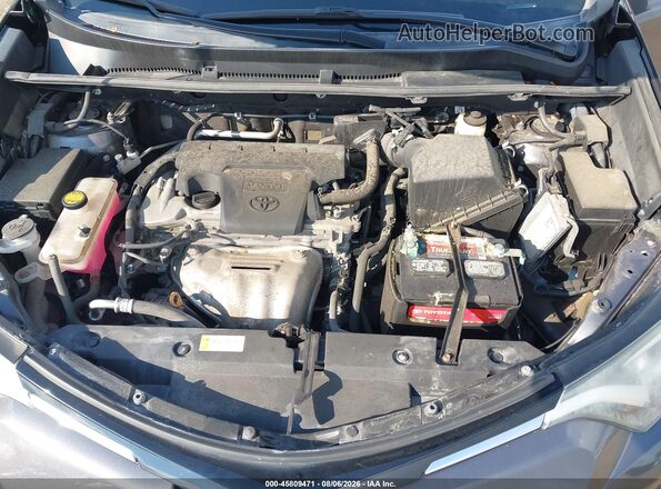 2T3BFREV1HW592113 2017 TOYOTA RAV4 Серый Вид сзади