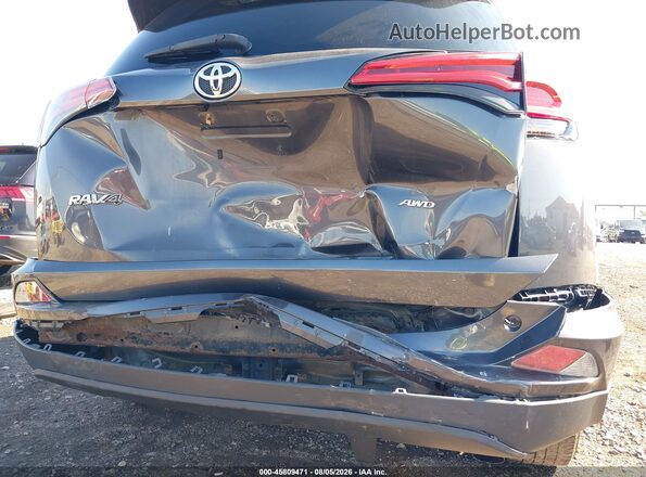 2T3BFREV1HW592113 2017 TOYOTA RAV4 Серый 