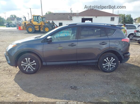 2T3BFREV1HW592113 2017 TOYOTA RAV4 Серый Панорамный вид салона 360°
