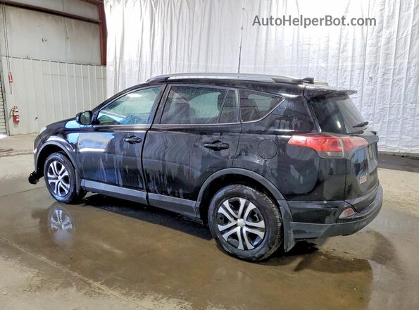 2T3BFREV1HW625322 2017 TOYOTA RAV4 Black Հետևի ձախ