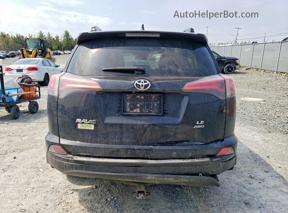 2T3BFREV4HW603010 2017 TOYOTA RAV4 Черный Вид сзади