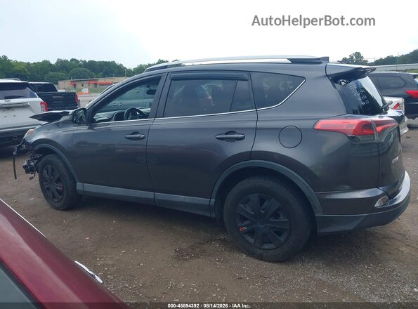 2T3BFREV6GW476453 2016 TOYOTA RAV4 Серый Панорамный вид салона 360°