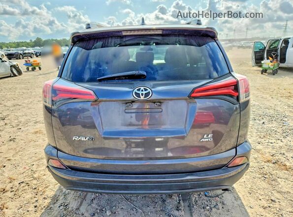 2T3BFREV6HW643279 2017 TOYOTA RAV4 Серый Вид сзади
